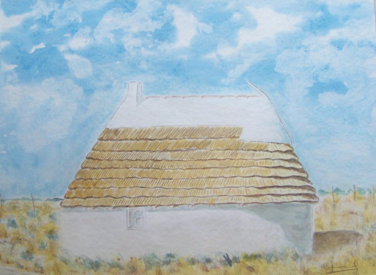 la camargue