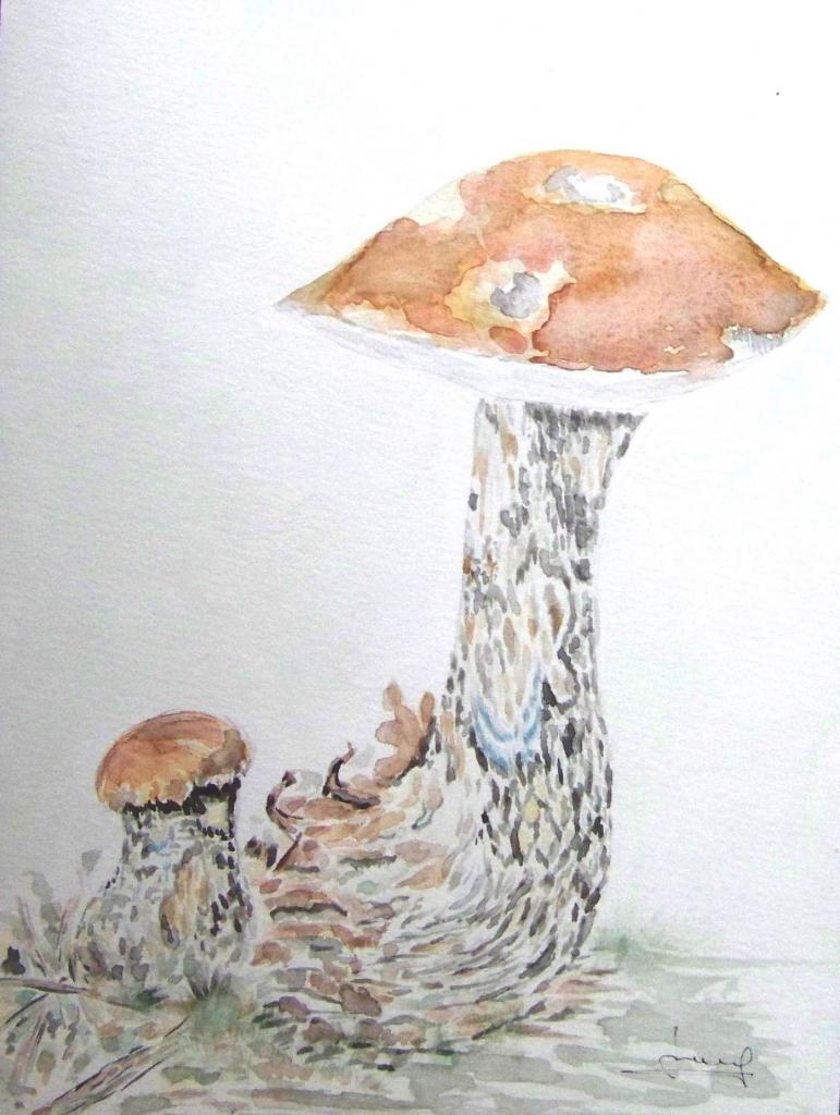 les Bolets  1
