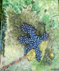 Raisins en Champagne