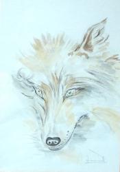 le-loup-4.jpg