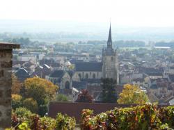 vignoble-ay-champillon-013.jpg
